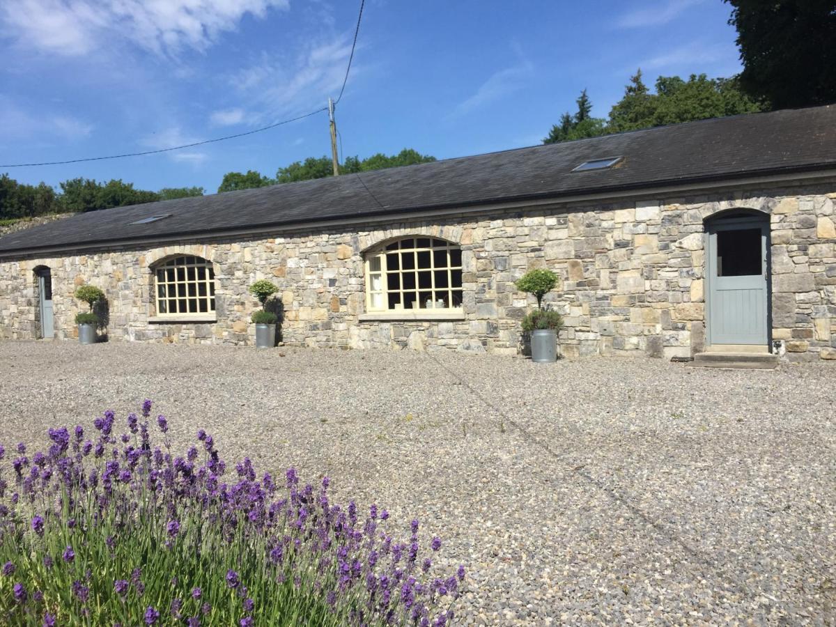 Clonalis House - Guesthouse Castlerea Dış mekan fotoğraf