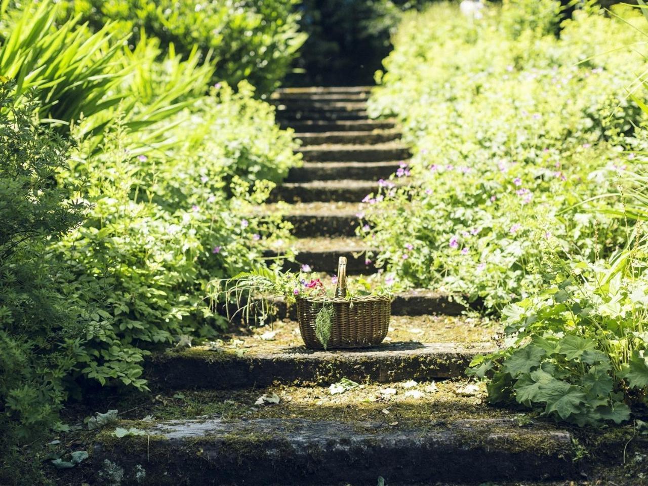 Clonalis House - Guesthouse Castlerea Dış mekan fotoğraf
